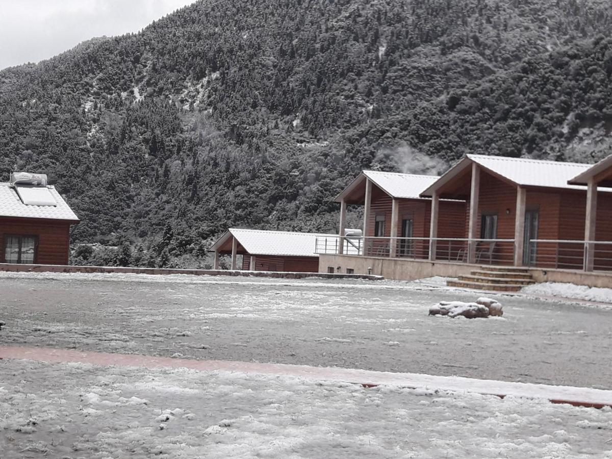 Kedros Chalet Agios Dimitrios  Ngoại thất bức ảnh